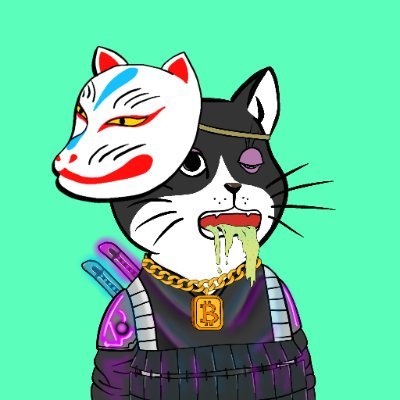 Chubby Cat Onsen Club