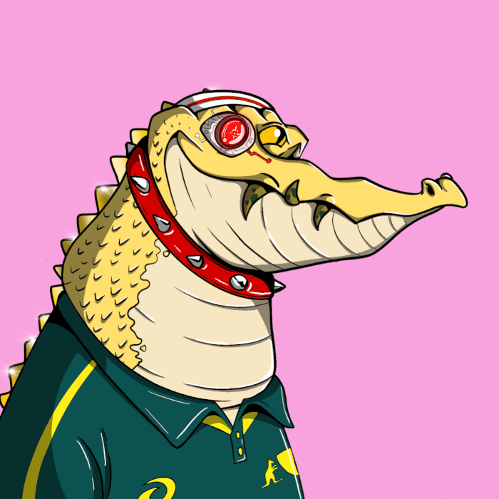 Big Aussie Crocs