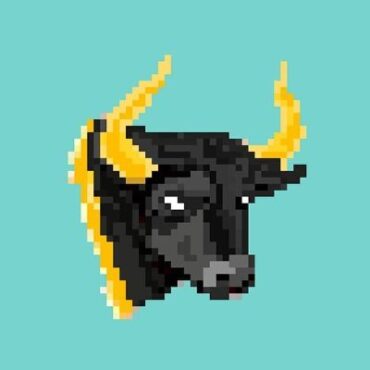 Bulls and Bears Sol Gang