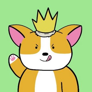 Chubby Corgis