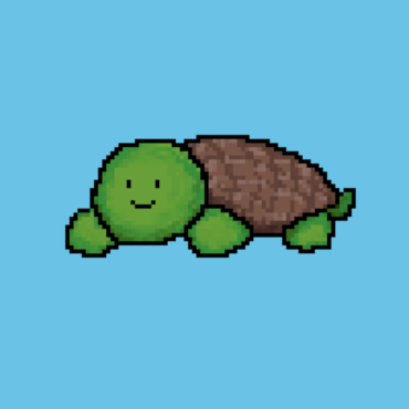 DereckTheTurtle