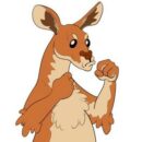 Kangaroo Fight Club