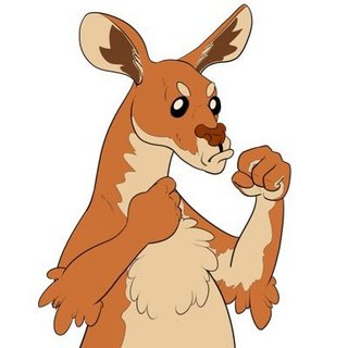 Kangaroo Fight Club