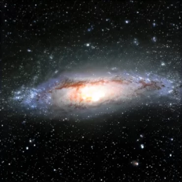 The Stars of Creation (Presale)