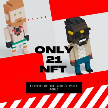 Voxel World Leader