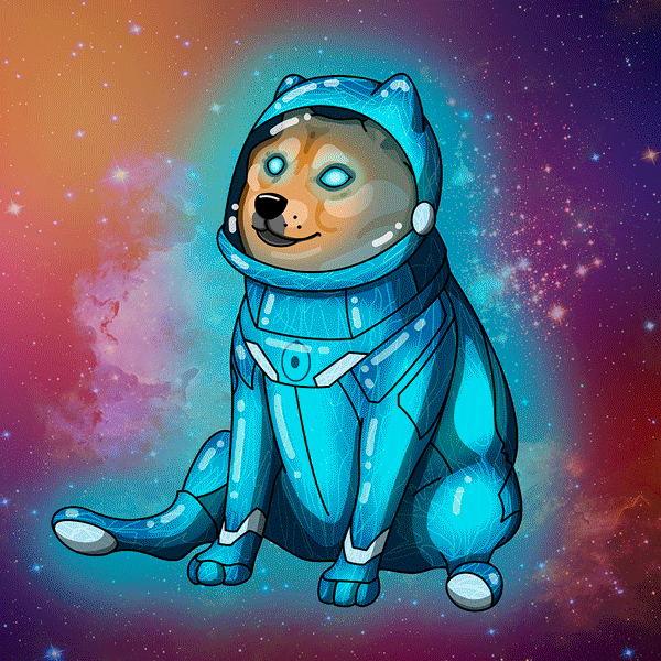 Doge In Space NFT
