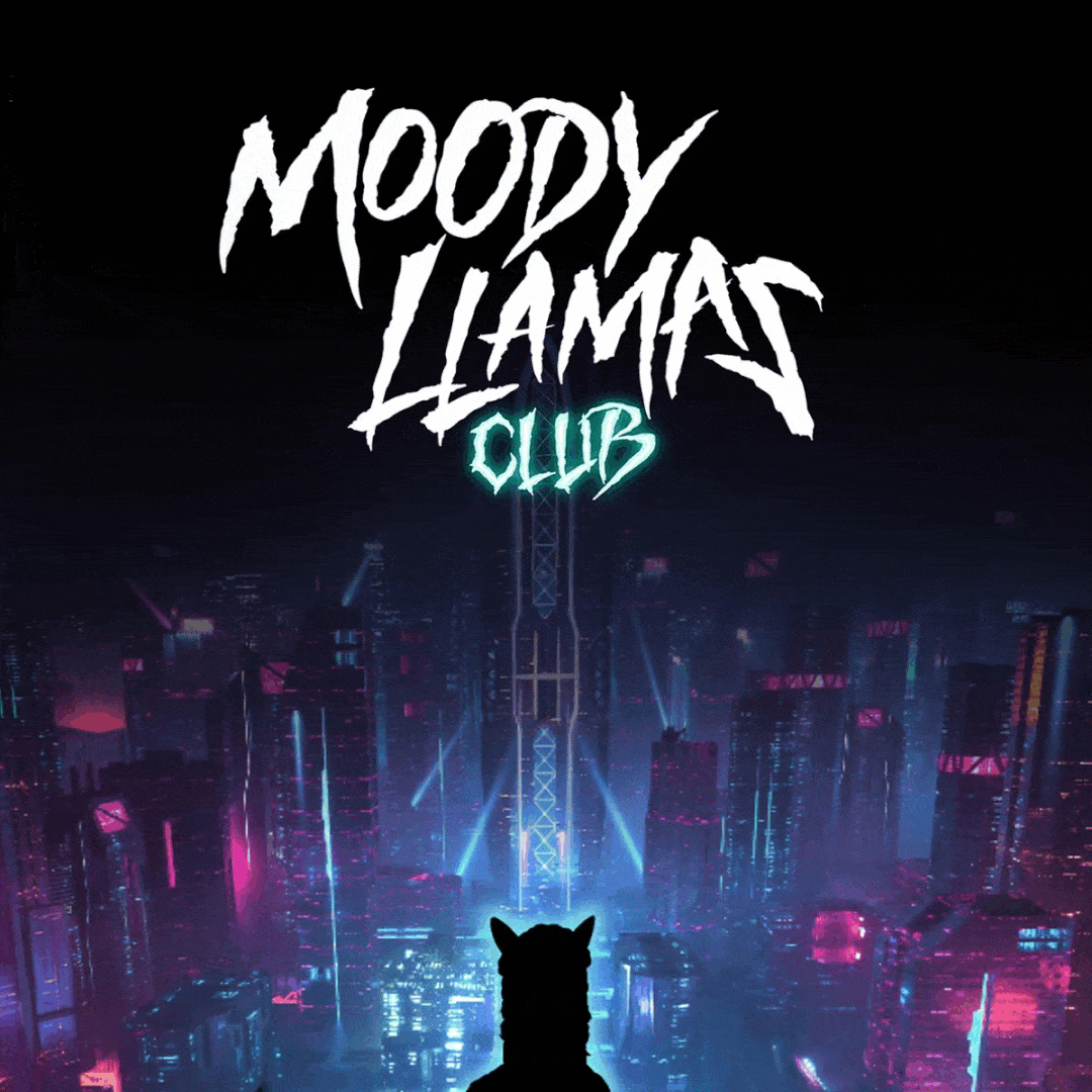 Moody Llamas Club, Phase II