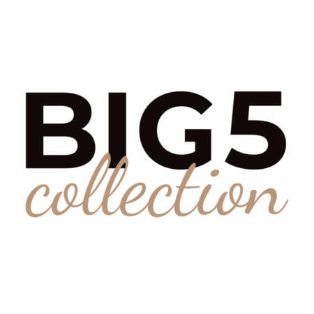 The Big 5 NFT Collectionb